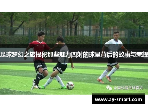 足球梦幻之旅揭秘那些魅力四射的球星背后的故事与荣耀